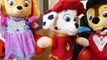 Paw Patrol Baby Pup Halloween Toy Learning Video For Kids!