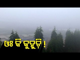 Thick Blanket Of Fog Engulfs Odisha; Vehicular Movement Hit In Twin City