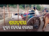 Patients Carried On Bullock Cart To Hospital In Odisha's Nabarangpur