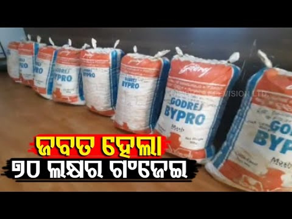 Ganja Worth Over Rs 70 Lakh Seized In Koraput