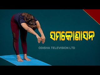 Roga Pain Yoga | Yoga Asanas To Melt Away Belly Fat