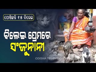 Special Story | Meet Cat Lover Sanju Who Pets 15 Cats At Her Home