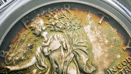 Toner Tuesday_ 1987-P American Silver Eagle PCGS MS67 Endless Summer