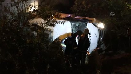 Kamyonet meyve bahçesine devrildi: 2 yaralı