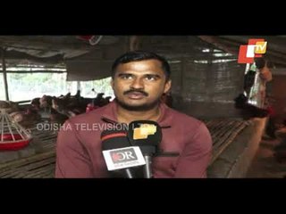 Special Report | Success Story Of Poultry Farmer Of Bhadrak