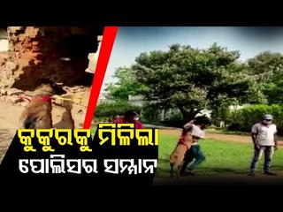 Tracker Dog, Two Police Personnel Awarded Cop Of The Month In Chhattisgarh