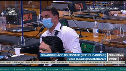 Tamanduá de dois metros é encontrado em quintal de casa em Lagoa Santa
