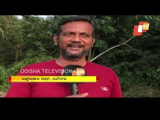 As Winter Sets In, Migratory Birds Throng Bhitarkanika National Park In Huge Numbers