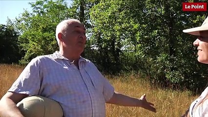 Nos amies les bêtes de sexe : L'autruche