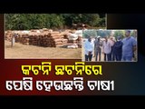 Farmers Distressed Over 'Katni Chhatni' In Paddy Procurement In Kalahandi