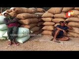 Balasore Collector Suspends Official For Irregularities In Paddy Procurement