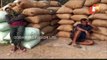 Balasore Collector Suspends Official For Irregularities In Paddy Procurement