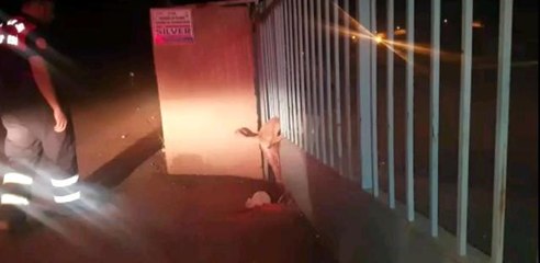 Son dakika... Kapının demir parmaklıklarına sıkışan köpeği itfaiye ekipleri kurtardı
