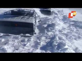 Vehicles Trapped In Snow At Razdan Top In Jammu & Kashmir