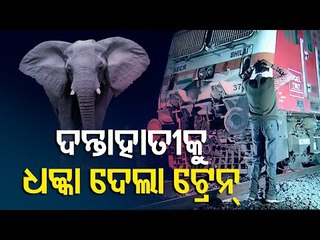 Breaking | Elephant Dies After Being Hit By Train In Sambalpur, Passengers Safe