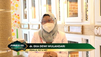 Jasa Penitipan & Klinik Hewan Piaraan Ramai Diminati Jelang Lebaran