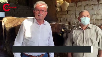 Yasaklar süt üreticisini vurdu