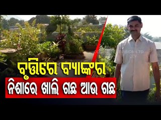 Balangir Bank Manager's Organic Garden On Terrace