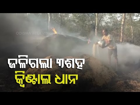 Paddy Weighing 300 Quintals Catch Fire In Dharmagarh