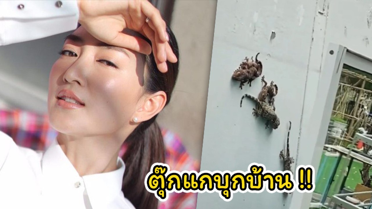 แพนเค้ก เขมนิจ เผยความหลอนสะพรึง กองทัพตุ๊กแกที่บ้านนับสิบตัว