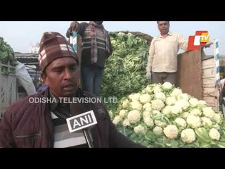 Cauliflower Farmers Forced To Distress Sell Their Produce In Punjab
