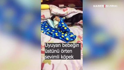 Bayram tadında videolar