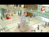 25-Ft Tall Christmas Tree In Mumbai Mall Draws Visitors