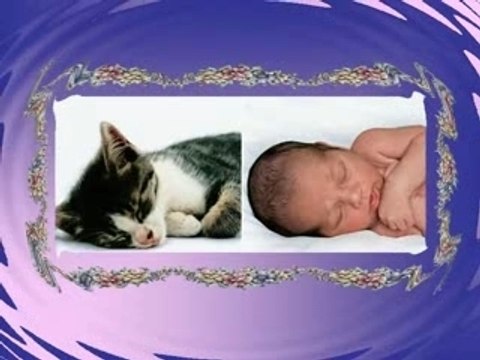 Similitudes fait à partir du fichier pps de johanne's pps