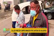 Chorrillos: Calles parecen campos minados por profundos agujeros en Cedros de Villa