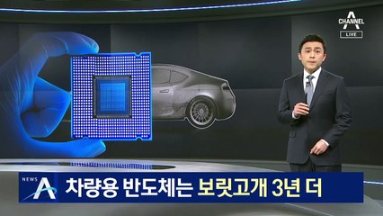 차량용 반도체는 보릿고개 3년 더…대책은 부족