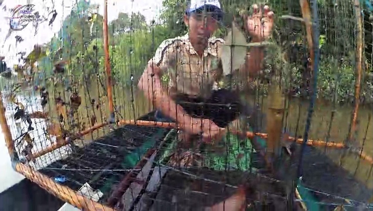 Perangkap Ikan Monster & Udang Galah Monster Paling Mantap 2019 #114