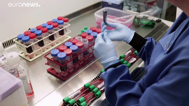 Cobayas humanos reinfectados con la COVID, un estudio de la Universidad de Oxford para las vacunas