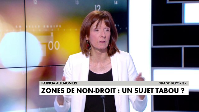 Patricia Allemonière sur la délinquance dans les quartiers : «On ne parle jamais des liens entre les trafics de cannabis et l’étranger, notamment le Maroc»