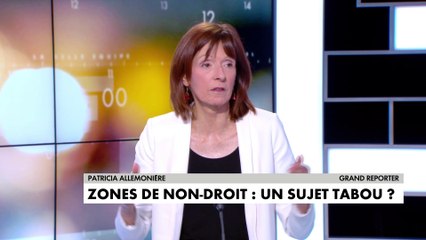 Patricia Allemonière sur la délinquance dans les quartiers : «On ne parle jamais des liens entre les trafics de cannabis et l’étranger, notamment le Maroc»