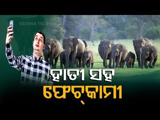 Fun With Wild Elephants Proves Fatal; 2 Die In Ganjam