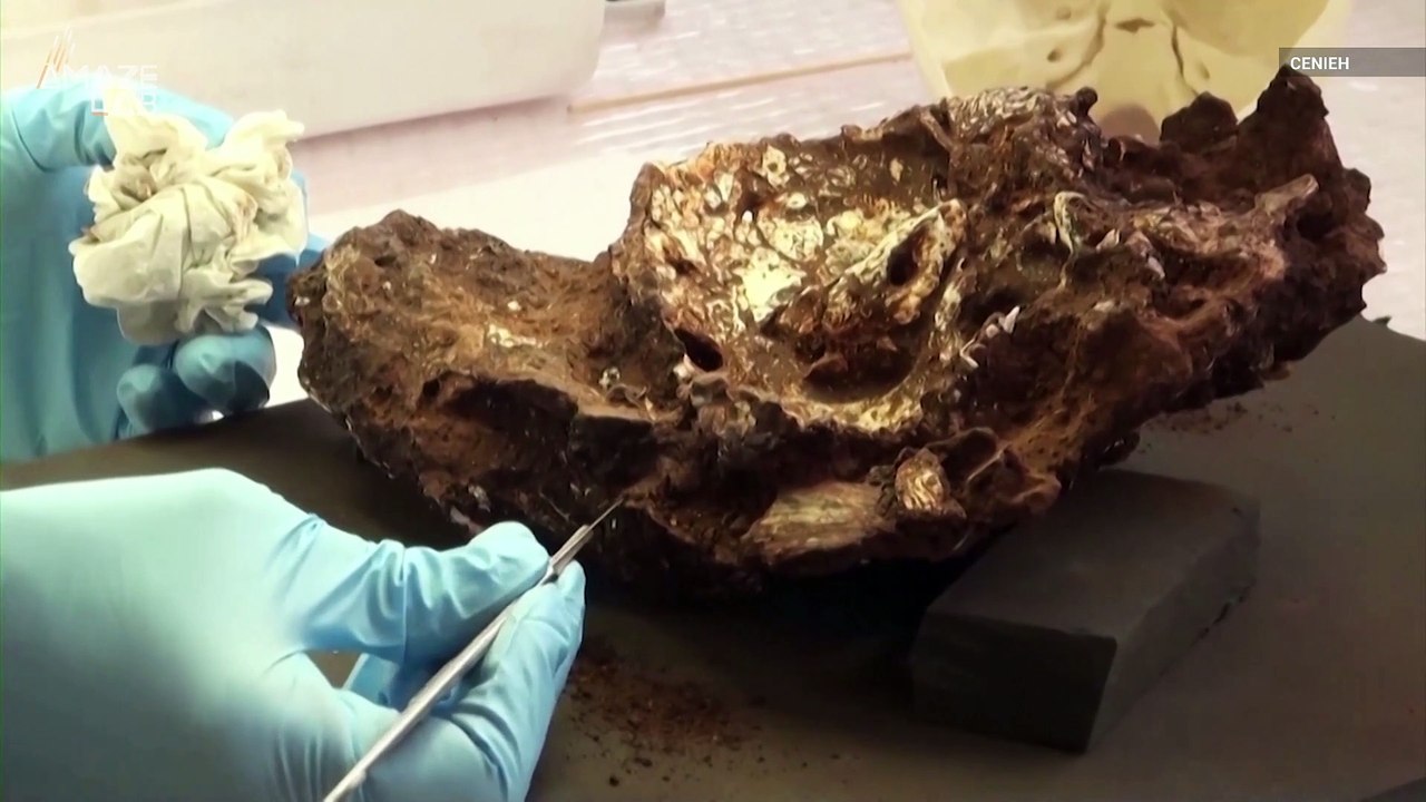 Oldest Known Human Burial Site Reveals Early Human Emotions