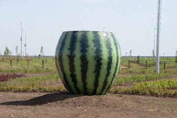 DİYARBAKIR'DA TARTIŞILAN HEYKELLER KALDIRILDI