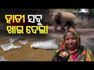 Special Story | Elephants Destroy Over 50 Paddy Sacks Of Elderly Woman In Chowdwar