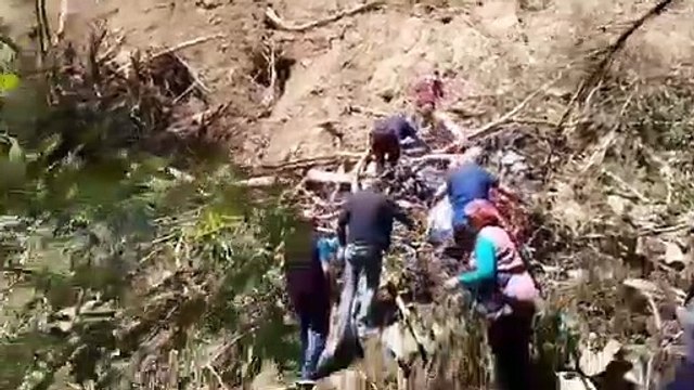 Cengiz İnşaat bayram dinlemedi, ağaç kesimine devam etti