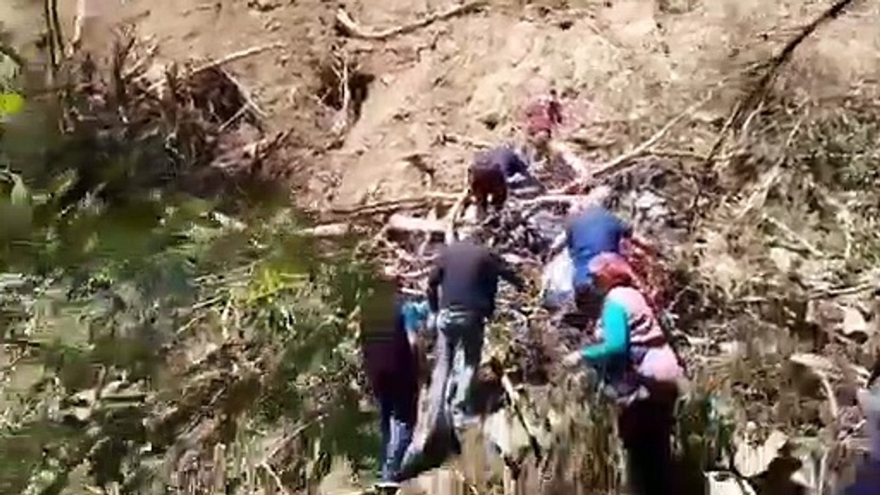 Cengiz İnşaat bayram dinlemedi, ağaç kesimine devam etti