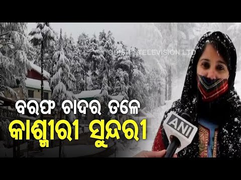 Tourists Enjoy Snowfall In Kashmir