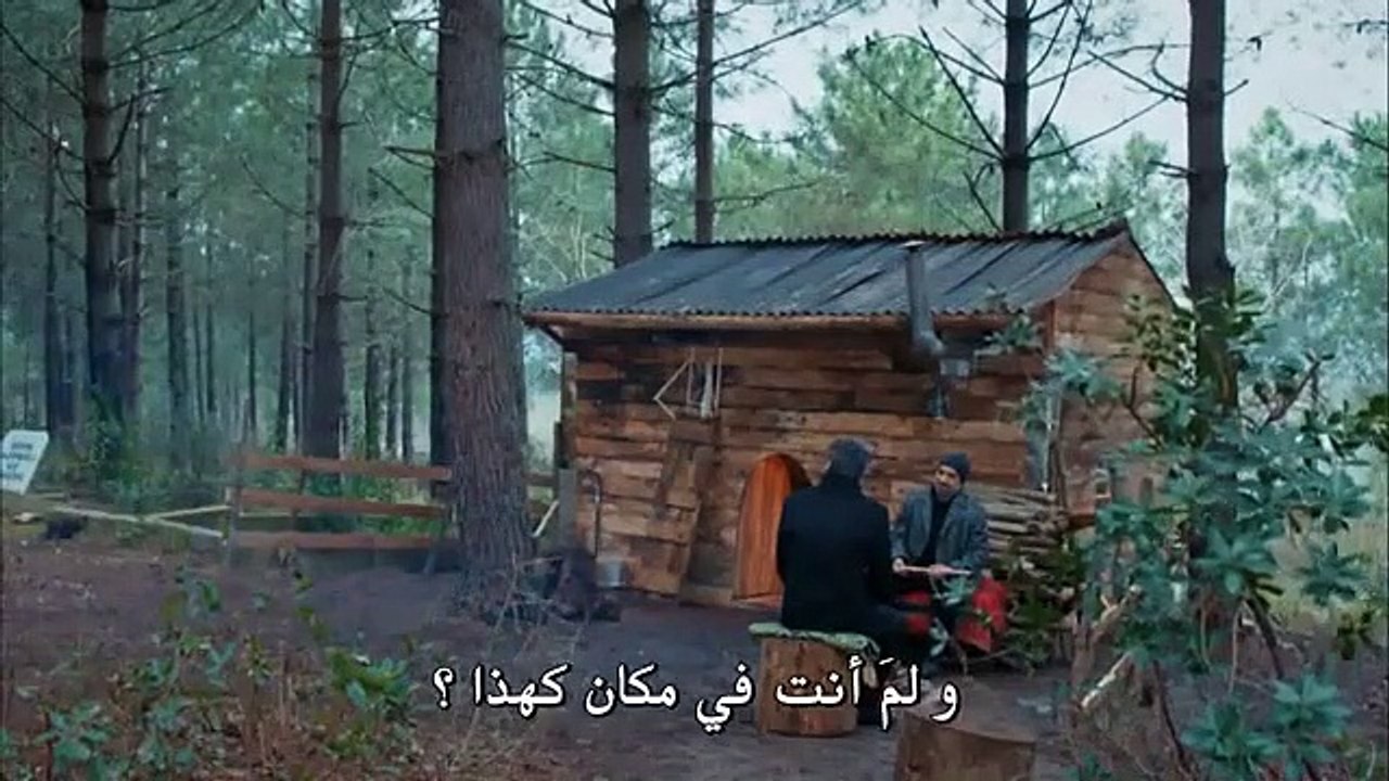 وادي الذئاب - الجزء العاشر - الحلقة 46 مترجمة - HD