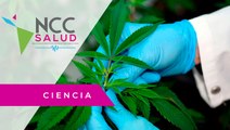 Costa Rica busca la legalización de la marihuana para uso medicinal