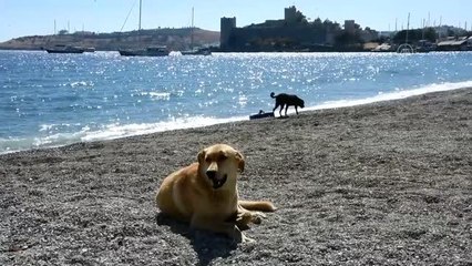 Muğla'da bayramda da "tam kapanma" sessizliği sürüyor