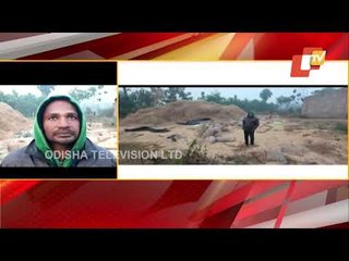Elephant Herd Wreaks Havoc In Keonjhar