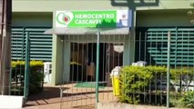 Assistentes sociais de Cascavel realizam doações de sangue no Hemocentro de Cascavel