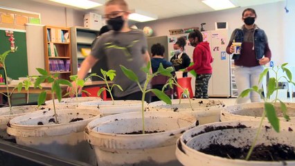 (13-05-2021) TOPO serre école Ste-Anne