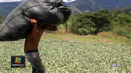 7 Días: Guerra contra las drogas: ¿Es hora de cambiar de estrategia? -150119