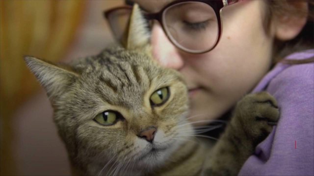 New Survey Finds Nearly Two-Thirds of Pet Owners Will End a Relationship If Their Animal D