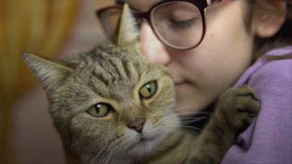 New Survey Finds Nearly Two-Thirds of Pet Owners Will End a Relationship If Their Animal D
